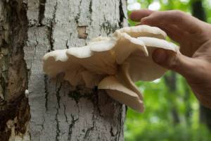 994319_10151908062158825_167909596_n