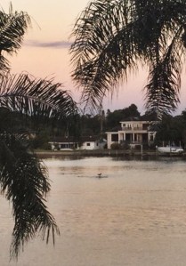 If you look very closely, you can see the dolphin tail breaking through the intercoastal