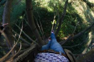 1902730_10152805903223825_6689757952296167489_n